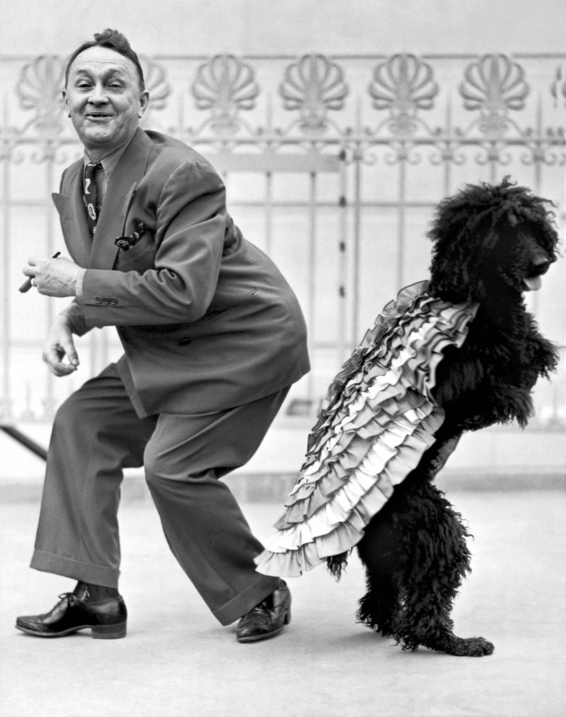 HOLLYWOOD, CALIFORNIA: 1944. A SAMBA STEPPING BLACK POODLE BY THE NAME OF 'COUNTESS' IS ENTERTAINING FOLKS AT THE MUSIC BOX THEATRE ON HOLLYWOOD BLVD.