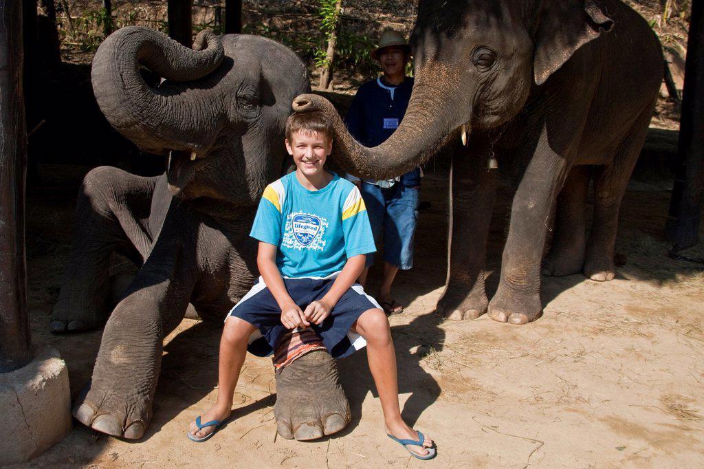 1566-1035141A YOUNG TOURIST WITH ELEPHANT