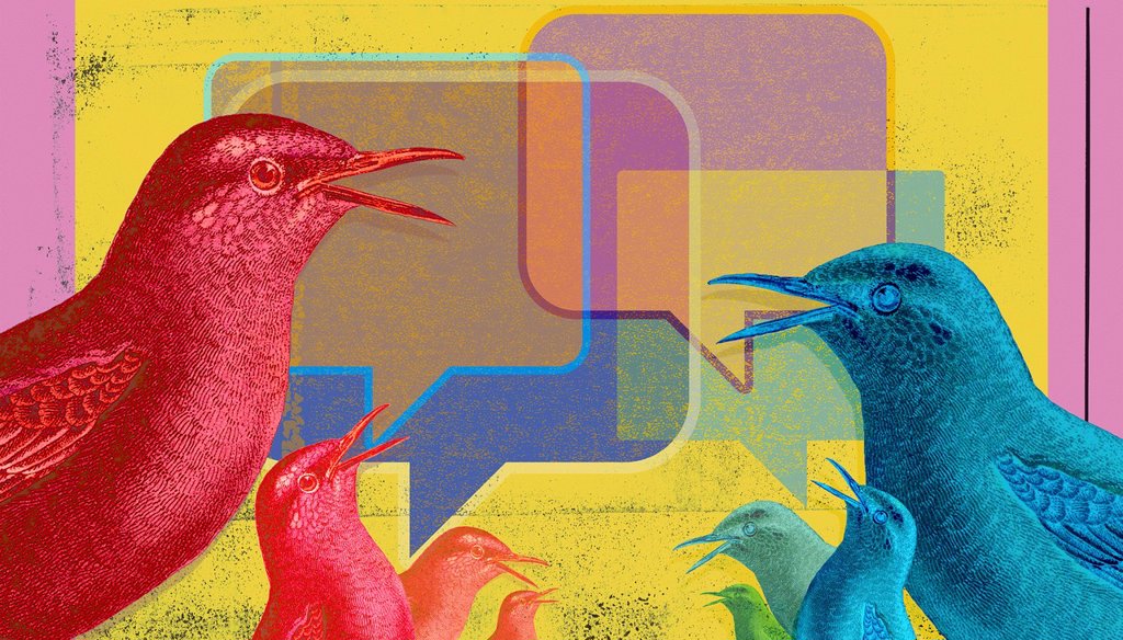 BIRDS COMMUNICATING WITH ONLINE MESSAGING
