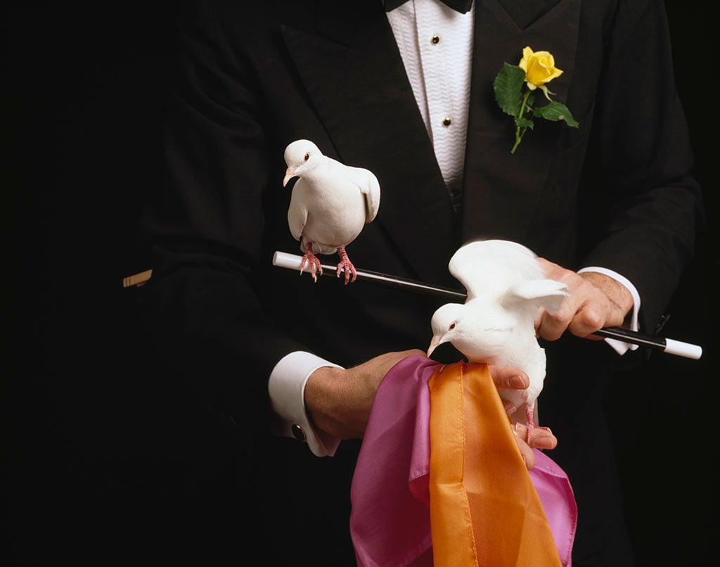 Magician with doves and wand