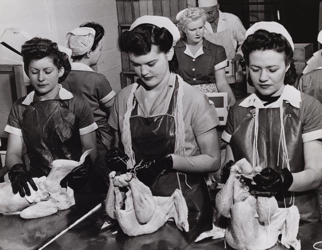 FEMALE WORKERS WORKING IN A FOOD PROCESSING FACTORY