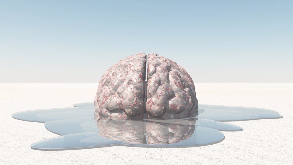 3D RENDERING OF A HUMAN BRAIN MELTING.