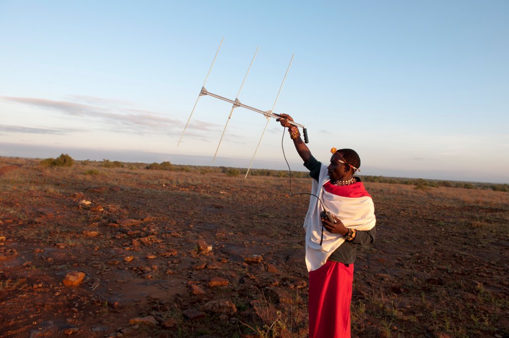 SAMBURU GUIDE SEARCHING FOR LIONS WITH ELECTRONIC TRACKING